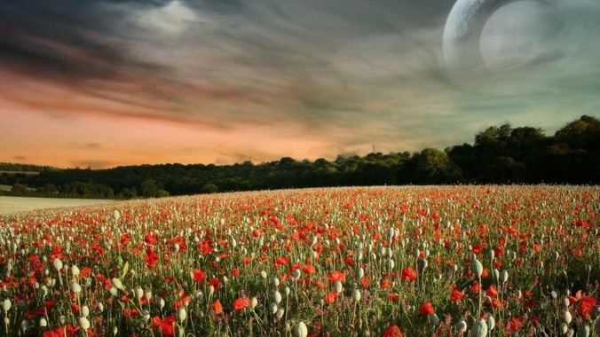 哪张照片让你觉得刘亦菲美得不可方物？